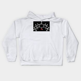 Propofol molecule (C004/1913) Kids Hoodie